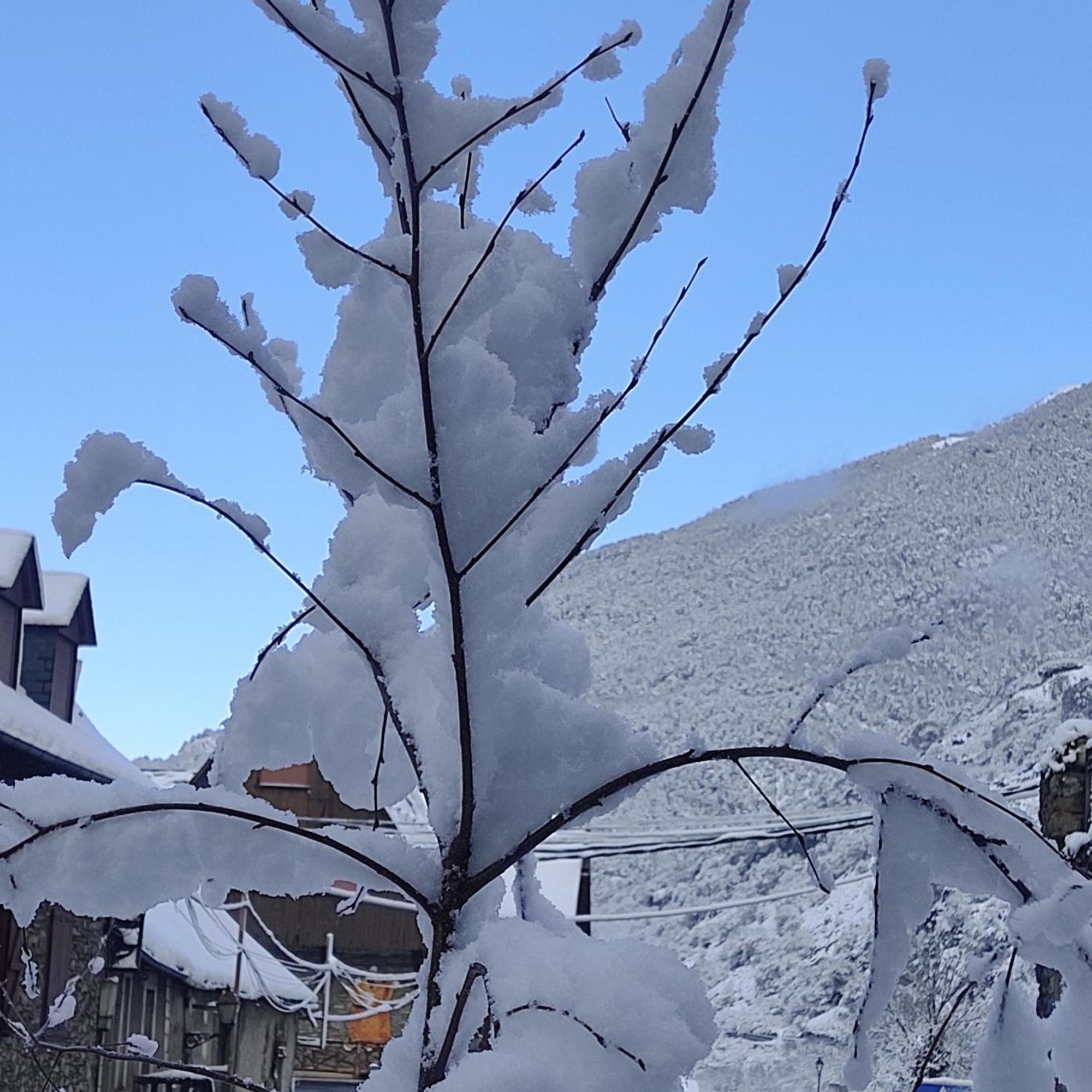 Alojamiento Rural Ostau Era Nheuada Aubert Exteriör bild